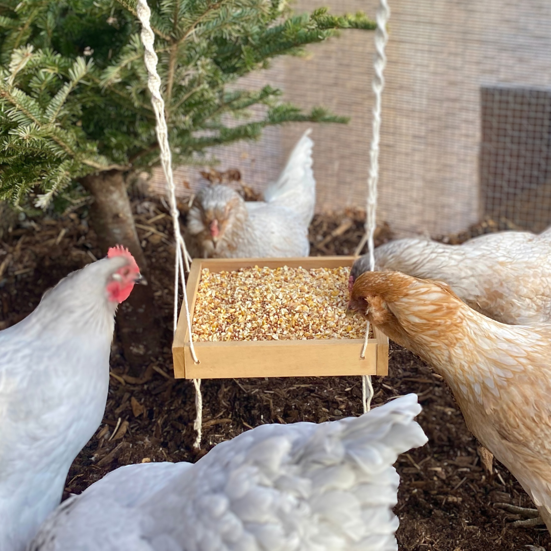 Hanging Chicken Feeder | Macrame Chicken Coop Decor | Hanging Bird Feeder For Poultry & Other Birds