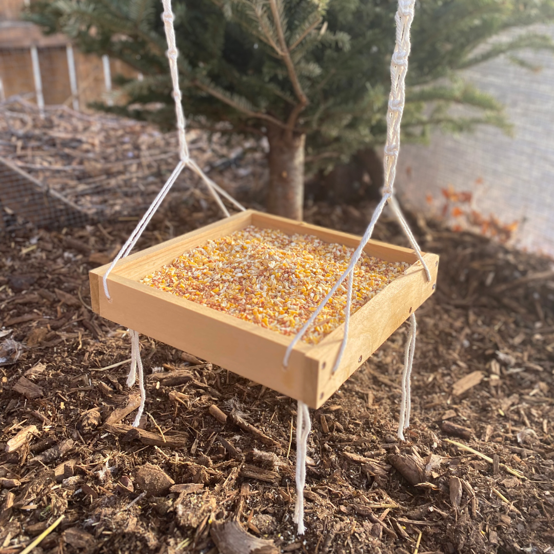 Hanging Chicken Feeder | Macrame Chicken Coop Decor | Hanging Bird Feeder For Poultry & Other Birds