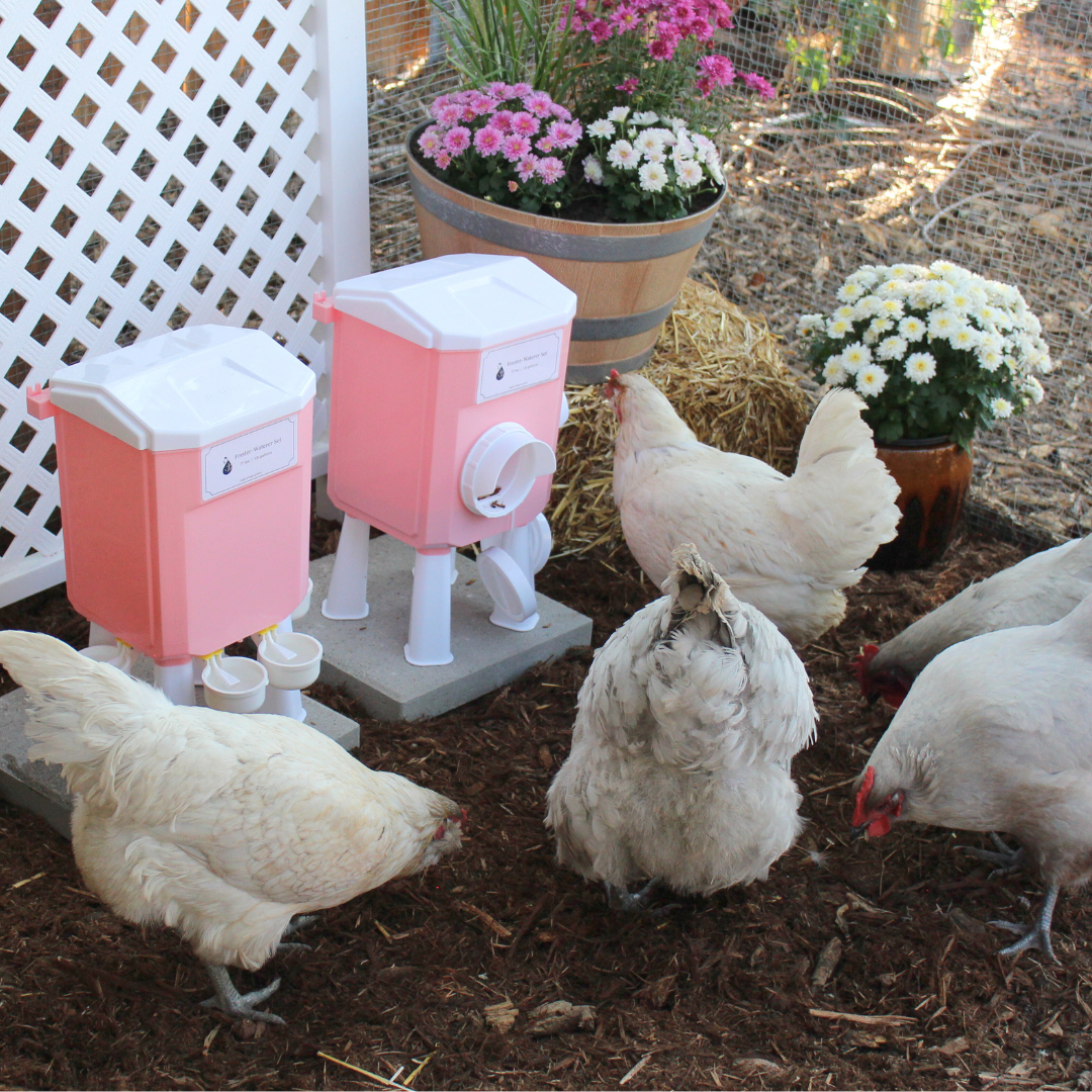 Cottage Pink Chicken Feeder-Waterer Set