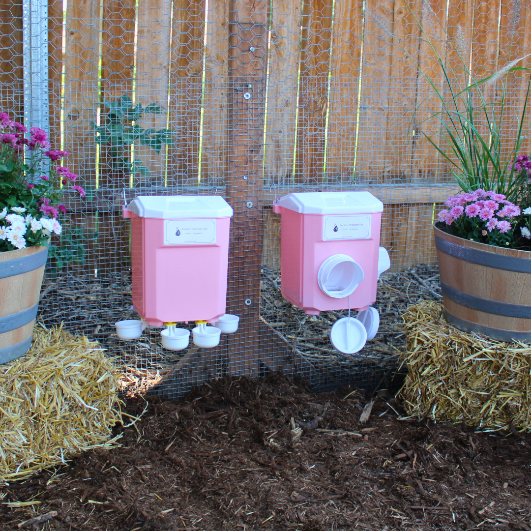 Cottage Pink Chicken Feeder-Waterer Set