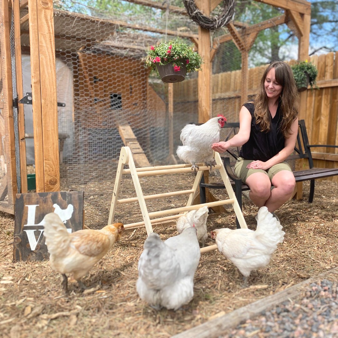 A-Frame Chicken Perch