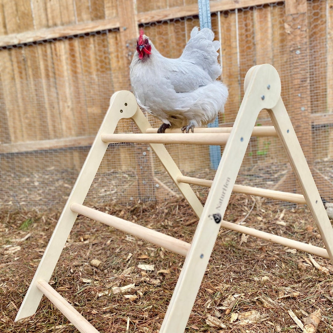 A-Frame Chicken Perch