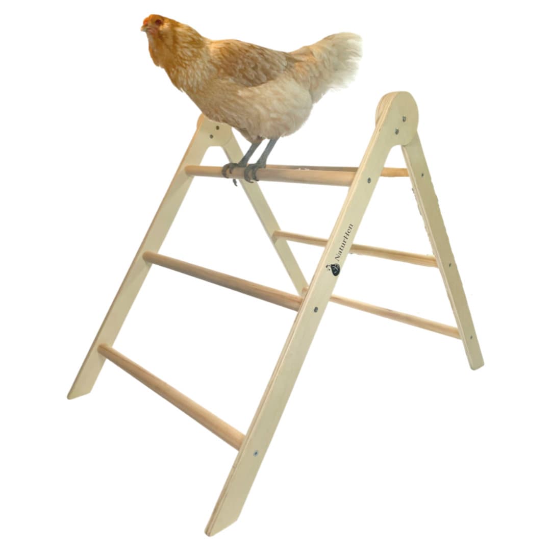 A-Frame Chicken Perch